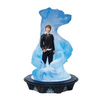 Wizarding World Of Harry Potter - Ron & Light Up Patronus