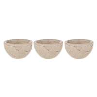 Tempa Emerson - Champagne Mini Pinch Bowl 3 Pack