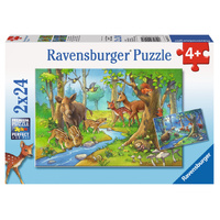 Ravensburger Puzzle 2 x 24pc - Animals of the Forest